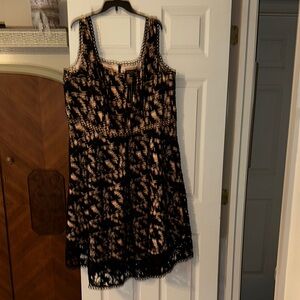 City Chic Black and Tan Dress